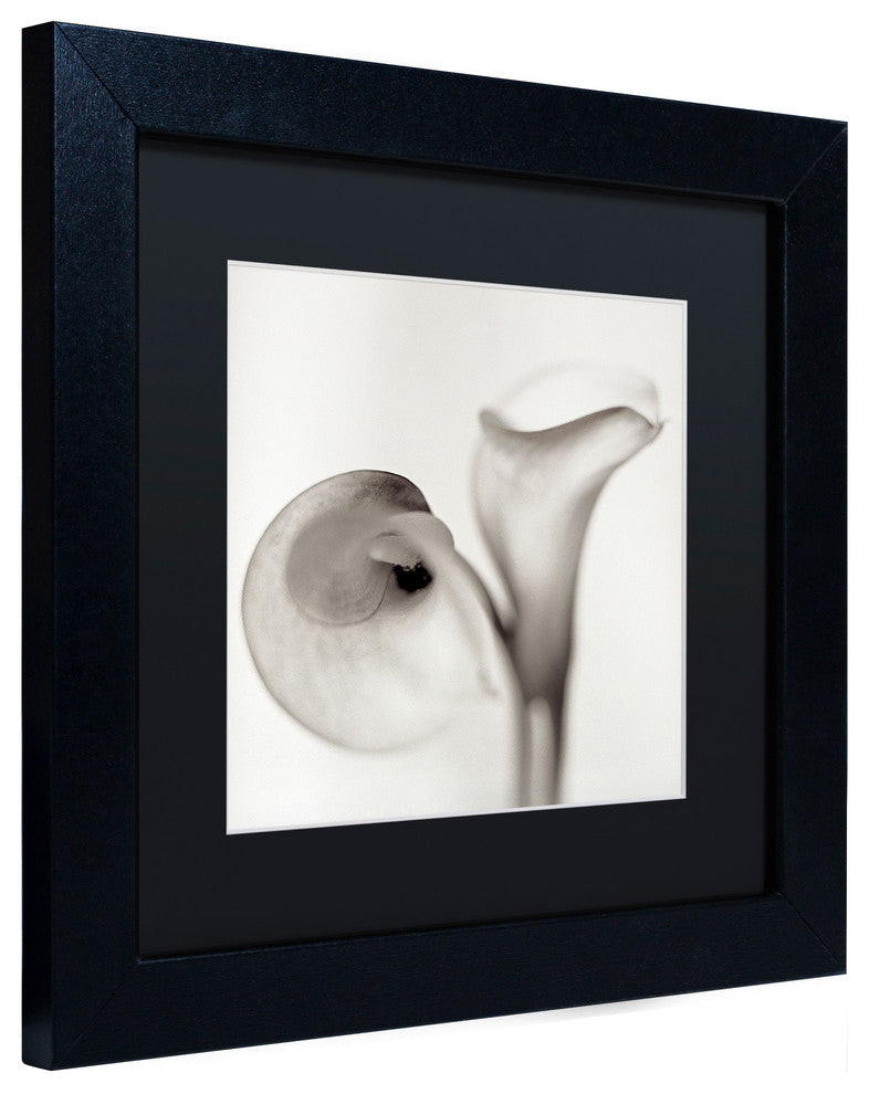 Alan Blaustein ''Florison 35'' Art, Black Frame, Black Mat, 11x11
