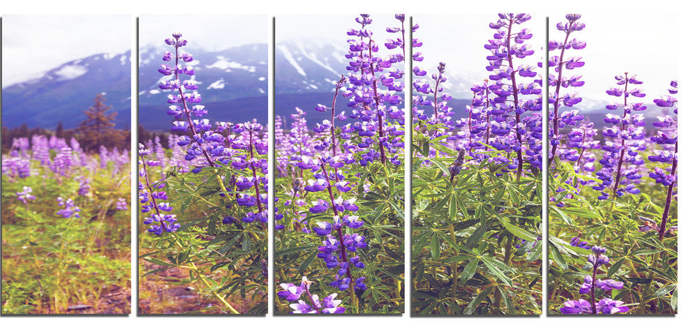 Meadow in Alaska with Purple Flowers, Floral Canvas Art Print, 60"x28", 5 Panels