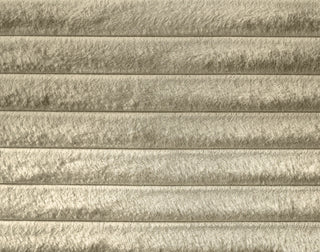 Dexter Upholstered Bed, Cream, Full, Corduroy Fabric