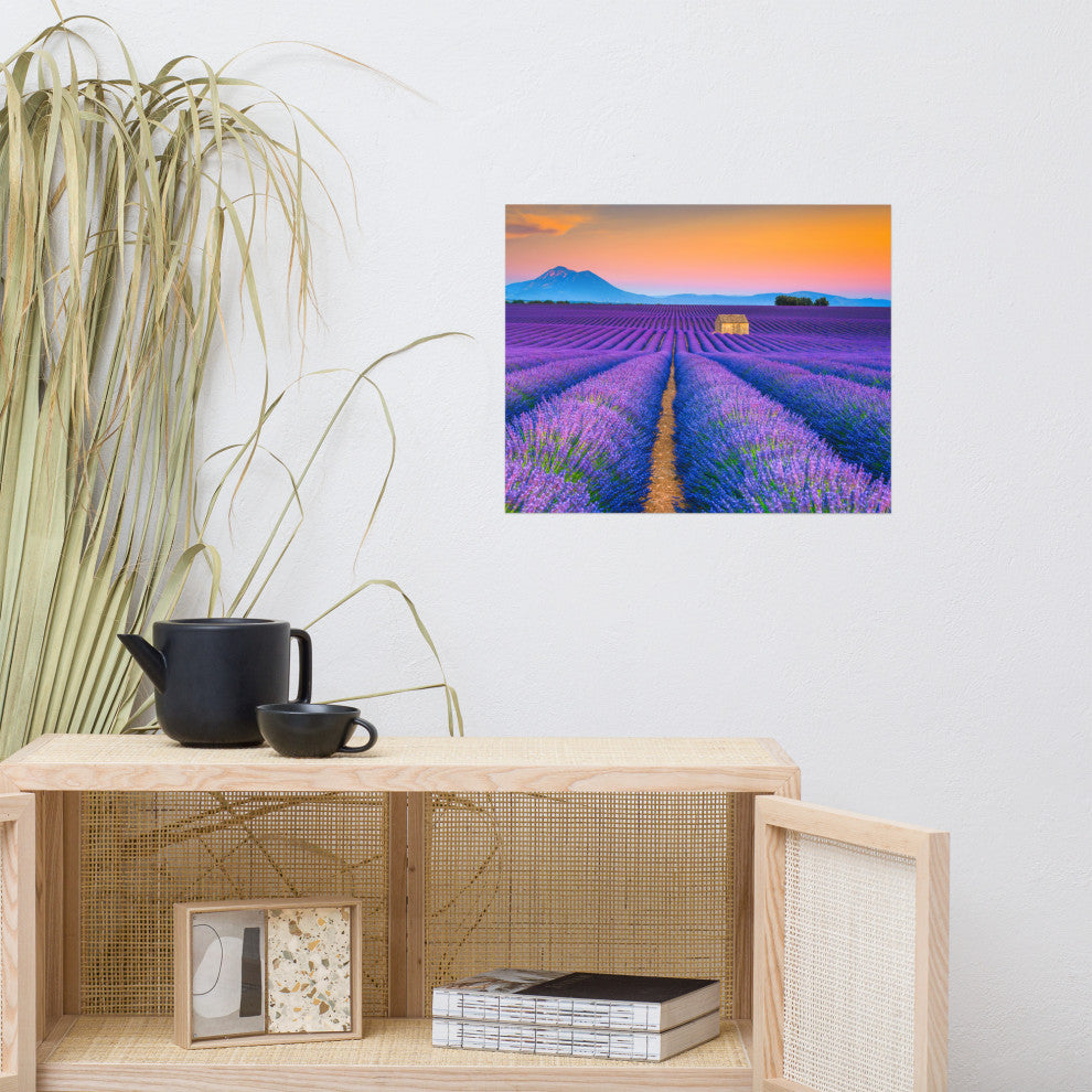 Blooming Lavender Field and Sunset Landscape Photo Unframed Wall Art Prints, 16" X 20"