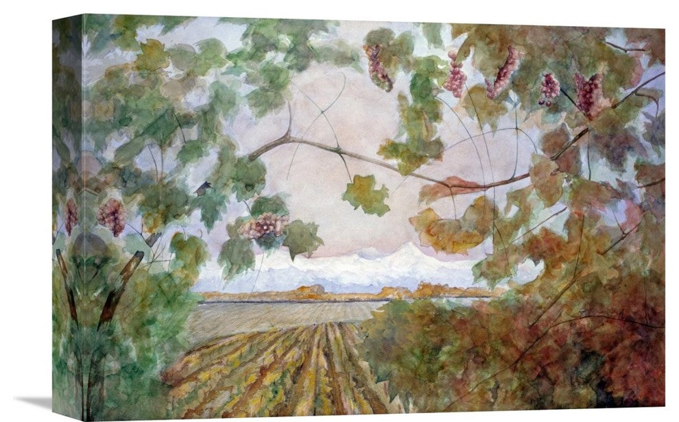 "Amongst the Vineyards" Stretched Canvas Giclee by Eduardo Audivert, 16"x11"