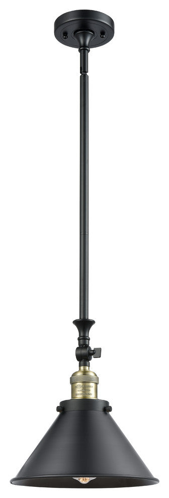 1-Light Briarcliff 10" Mini Pendant, Black Antique Brass