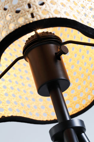 Vidalite Gal Rattan and Velvet Table Lamp