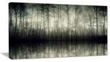 "Beautiful Gray Forest in Germany" Photograph Print, 1 Panel, 60"x28"