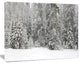 Foggy Winter Forest Panorama, Large landscape Canvas Art Print, 60x40