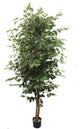 Ficus Tree 7'' Tall With 2016 Leave, Planters Pot, Artificial Tree