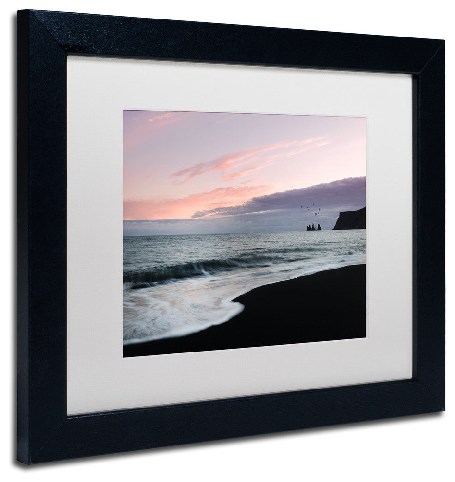 Philippe Sainte-Laudy ''Vik Birds at Sunset'' Matted Framed Art