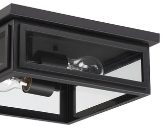 Byron 2-Light Outdoor Ceiling Mount, Matte Black