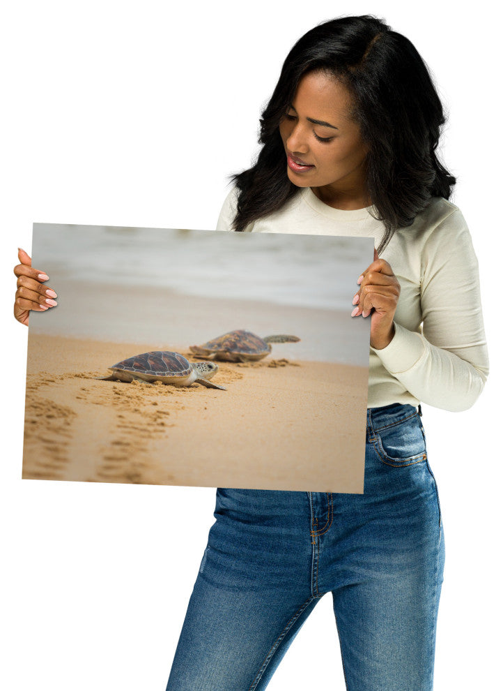 Baby Hawksbill Sea Turtle On The Beach Animal Wildlife Loose Wall Art Print, 12" X 16"
