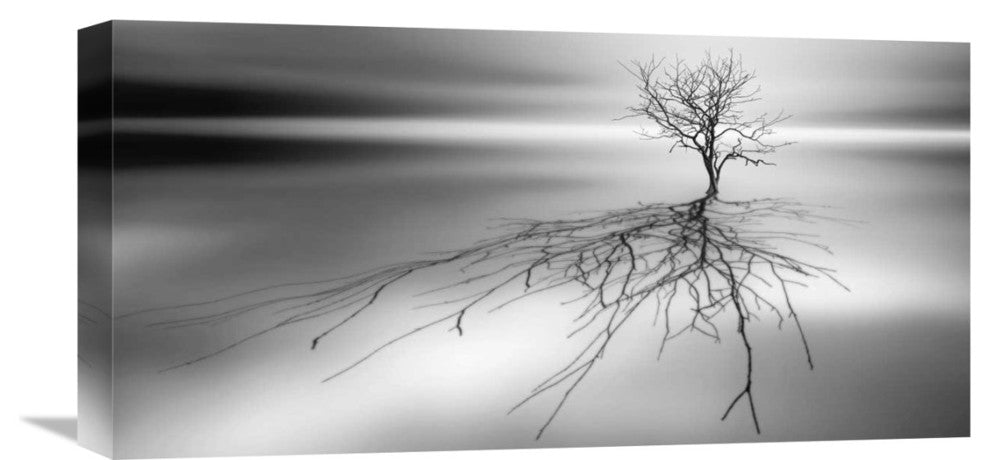 "Even The Dead Cast Shadows" Stretched Canvas Giclee by Leif Londal, 22x11"