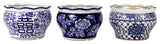 ClayBarn Blue and White Terrace Garden Planter Set