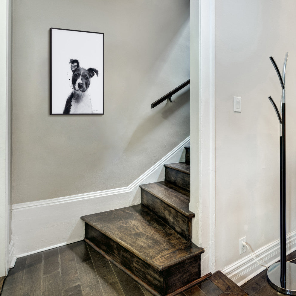 "Pitbull" Black and White Pet Art on Printed Glass Encased with Anodized Frame
