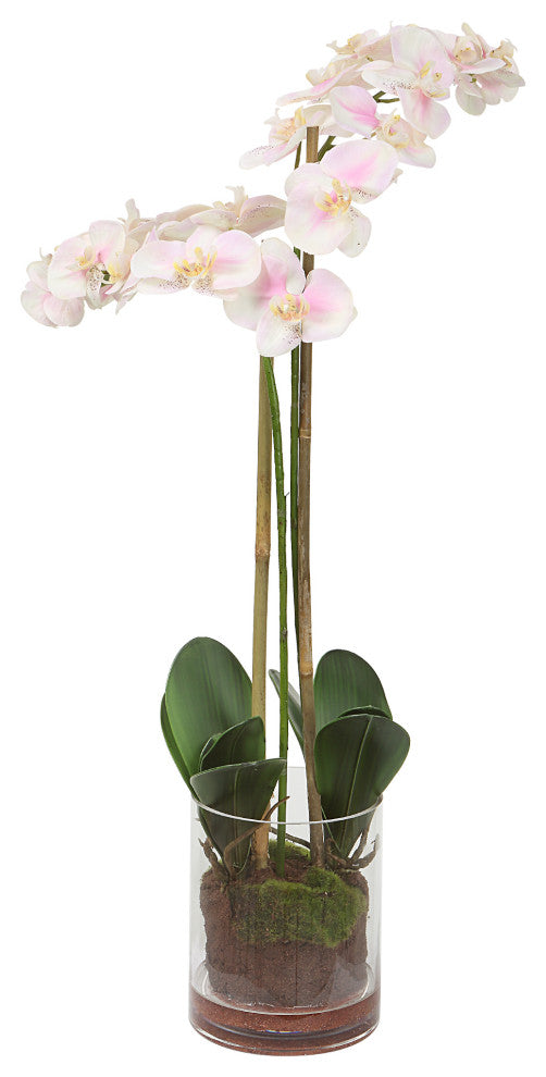 Uttermost 60196 Blush Pink And White Orchid