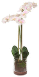 Uttermost 60196 Blush Pink And White Orchid