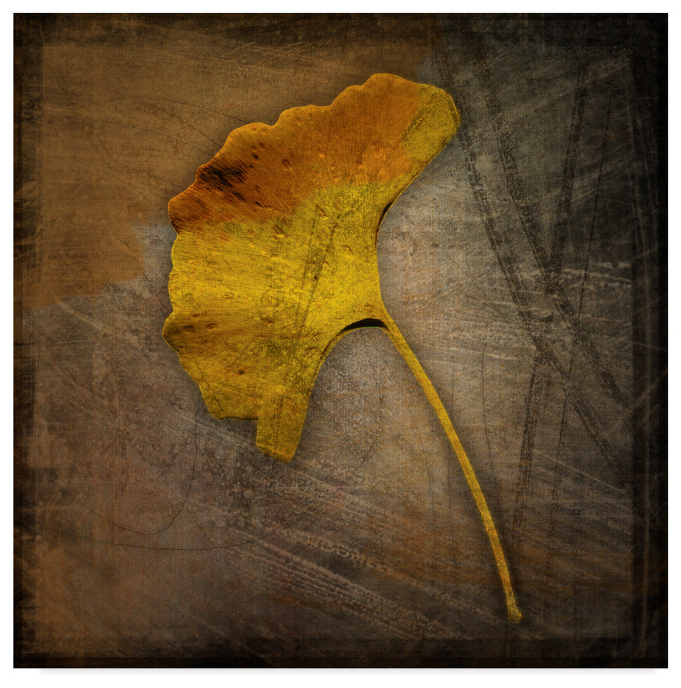 John W. Golden 'Gingko Brown' Canvas Art, 24"x24"