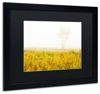 PIPA Fine Art 'Dreams of Goldenrod and Fog' Matted Framed Art, 20x16