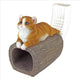 Kitty Cat Rain Gutter