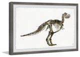 "Dinosaur Skeleton" Framed Painting Print, 30"x20"