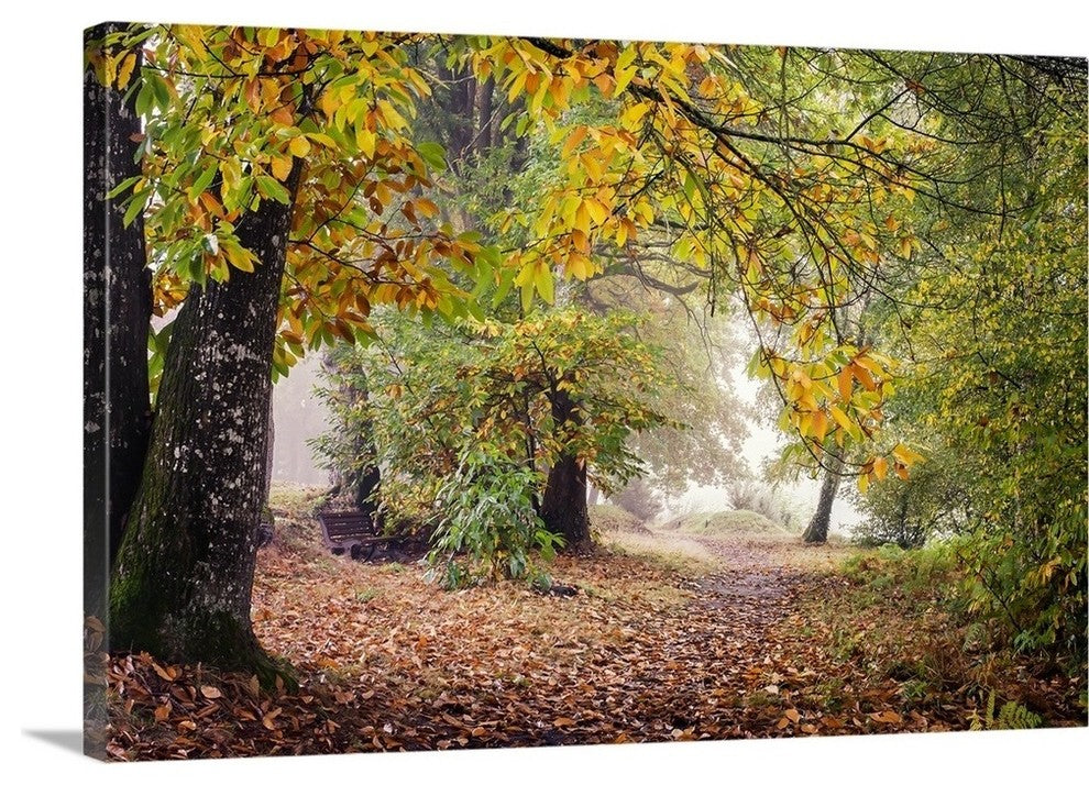 "Autumn Break Under The Trees" Wrapped Canvas Art Print, 48"x32"x1.5"