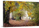"Autumn Break Under The Trees" Wrapped Canvas Art Print, 48"x32"x1.5"