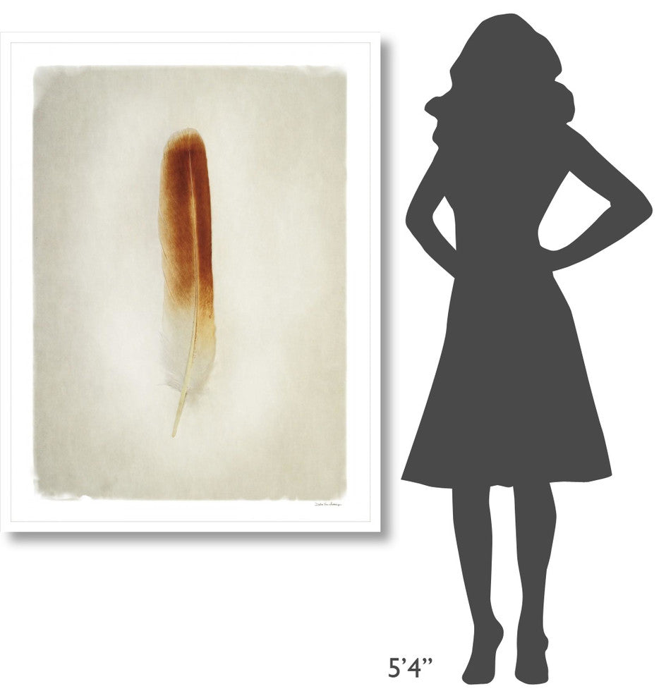"Feather II" Digital Paper Print by Debra Van Swearingen, 38"x50"
