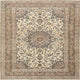 Ahgly Company Indoor Square Traditional Area Rugs, 5' Square
