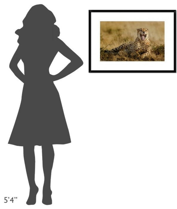 "Grumpy Morning" Framed Digital Print by Husain Alfraid, 30x21"