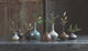 Porcelain Bud Vases, Set of 8