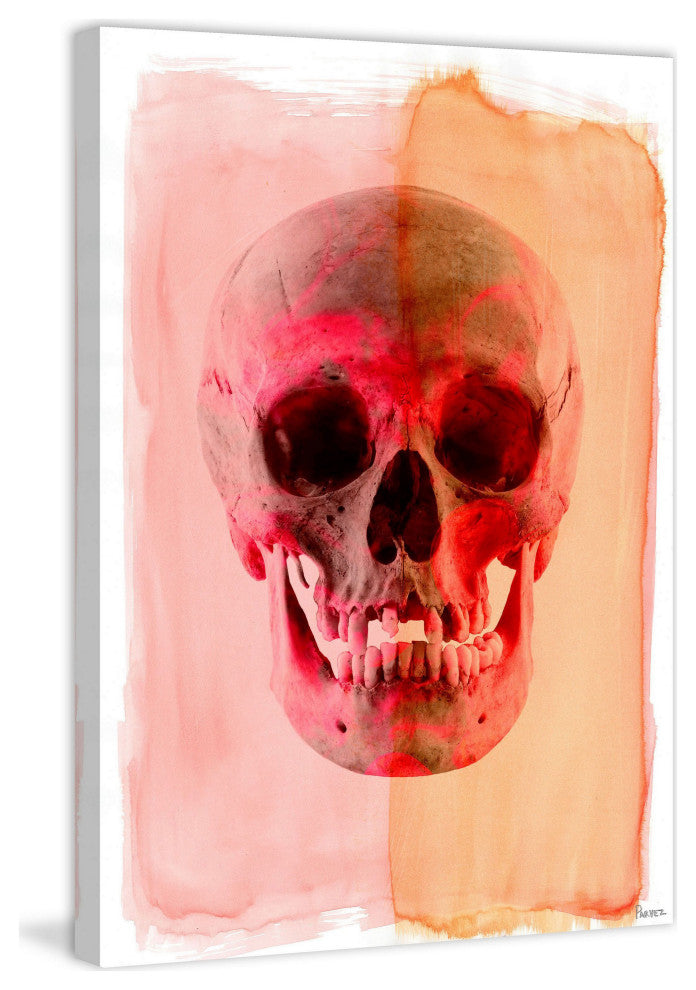 "Skull" Fine Art Canvas Print, 16"x24"