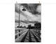 Follow the Lines Black & White Landscape Photo Unframed Wall Art Print, 16" X 20"