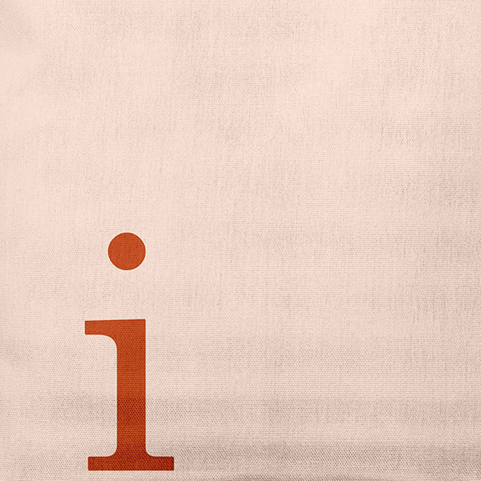 18" x 18" Modern Monogram Indoor/Outdoor Polyester Throw Pillow, Sienna