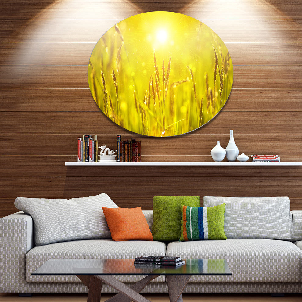 Yellow Grass Flower At Sunset, Landscape Large Disc Metal Wall Art, 11"