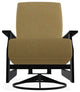 St. Catherine Deep Seat Outdoor Swivel Rocker, Stucco/Black