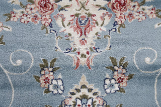 Light Blue Floral Medallion Transitional Turkish Rug Oriental Carpet 10x10