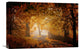 "Turn To Fall" Stretched Canvas Giclee by Ildiko Neer, 22x15"