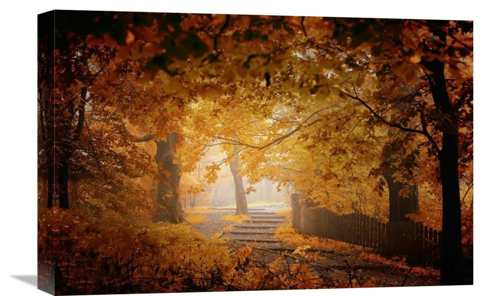 "Turn To Fall" Stretched Canvas Giclee by Ildiko Neer, 22x15"