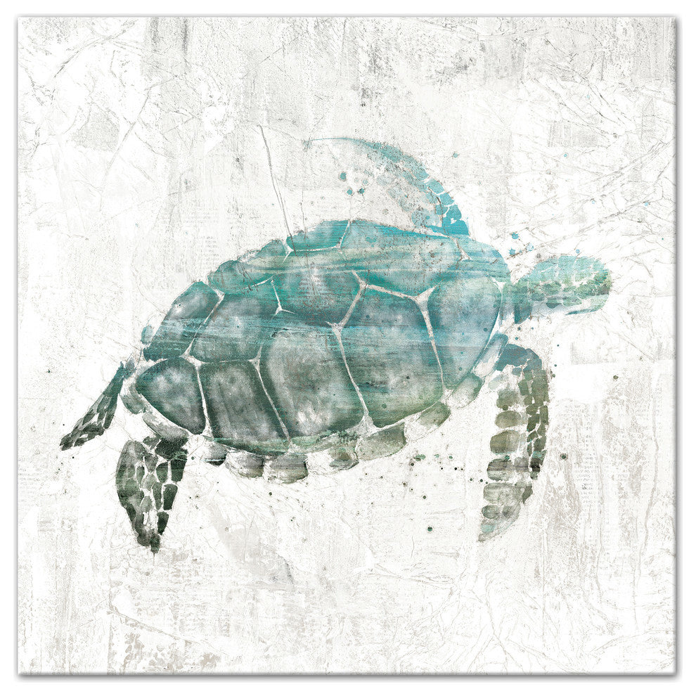 Turquoise Sea Turtle Canvas Wall Art, 20"x20"