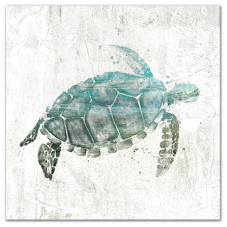Turquoise Sea Turtle Canvas Wall Art, 20"x20"