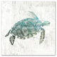 Turquoise Sea Turtle Canvas Wall Art, 20"x20"