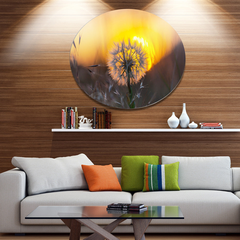 Stunning Dandelion View At Sunset, Flower Disc Metal Artwork, 23"