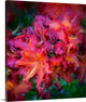 "Park Blossoms" Wrapped Canvas Art Print, 18"x20"x1.5"