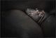 "Dreamin" Framed Canvas Giclee by Zdenek Vales, 37x25"