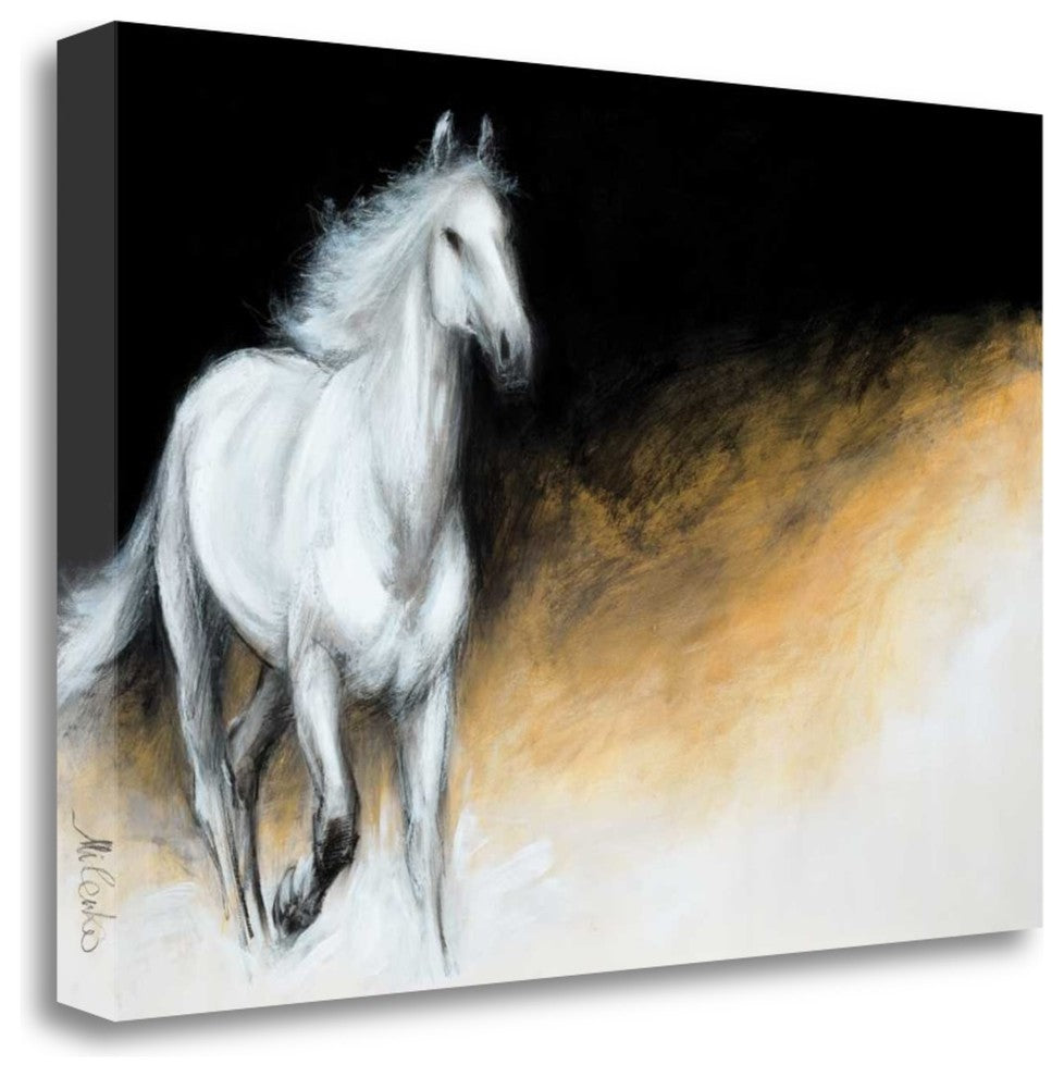 "Light And Dark" By Milenko Katic, Giclee Print on Gallery Wrap Canvas