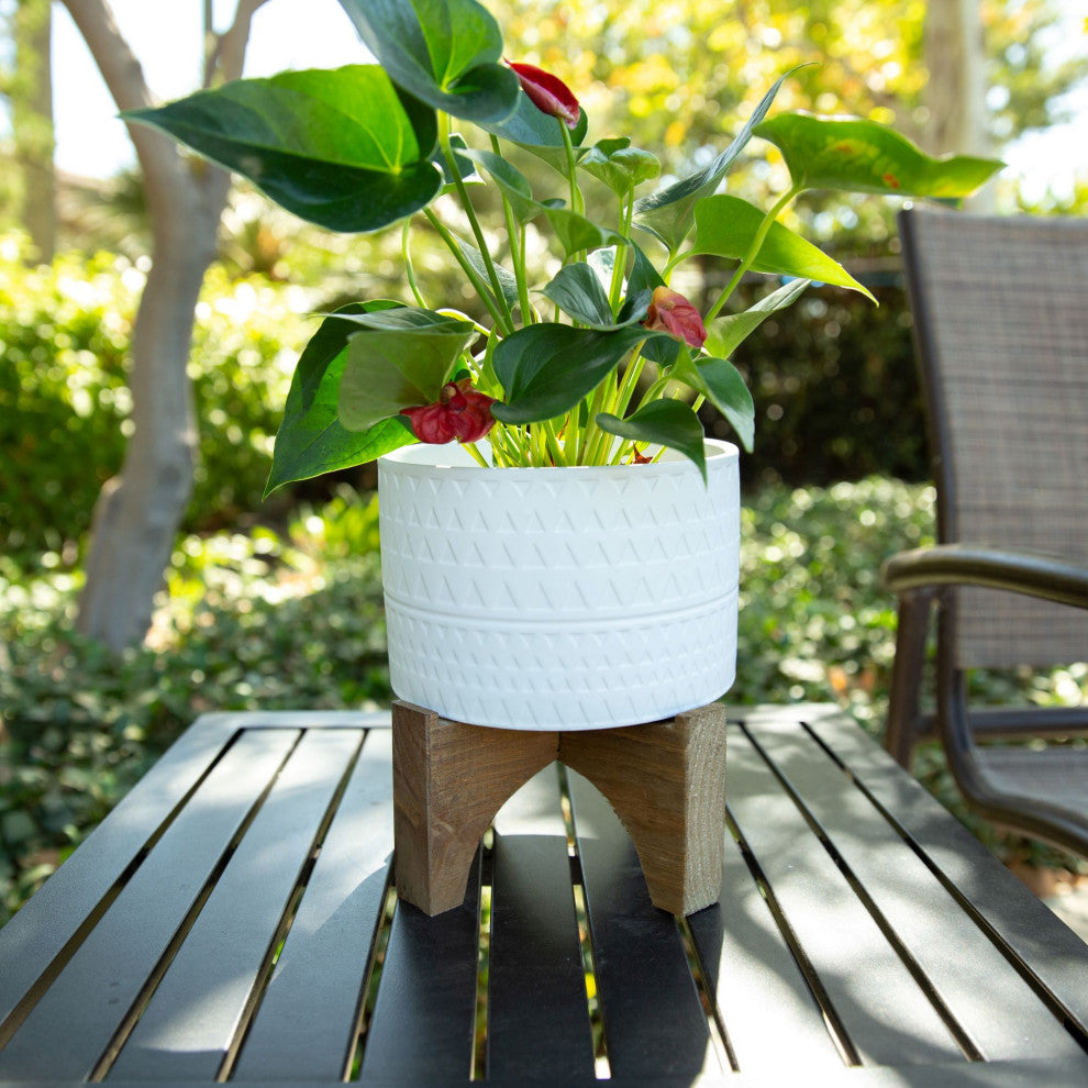 7" Pharaoh Ceramic Planter On Stand