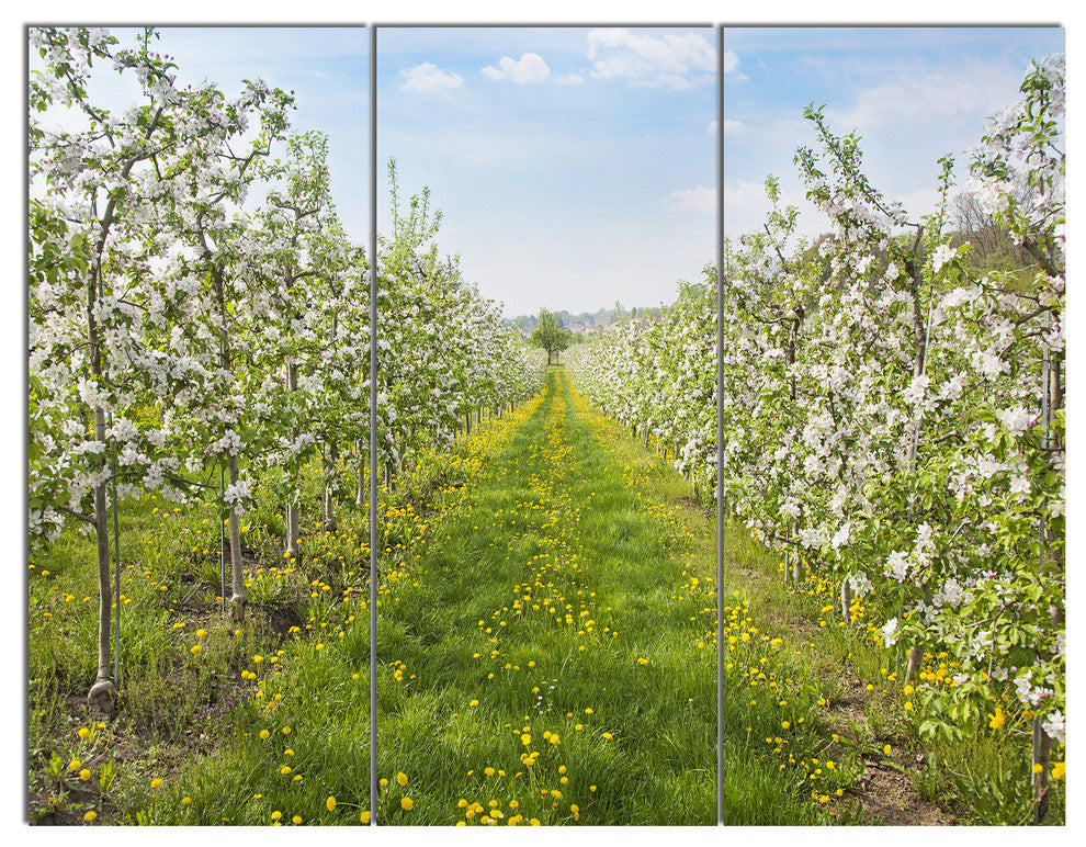 Bloomy Peach Forest Photography, Floral Triptych Canvas Print, 36x28, 3 Panels