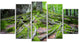"Deep Moss Forest in Ukraine" Landscape Art Print Canvas, 5 Panels, 60"x32"