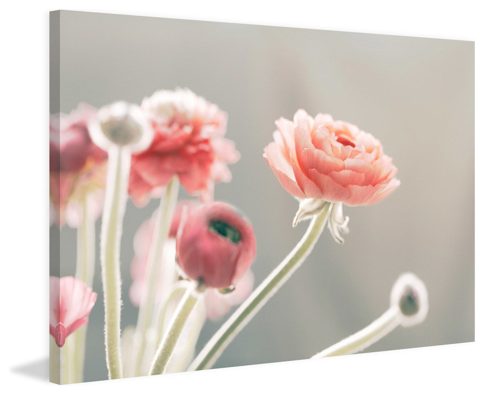 Marmont Hill, "Shades of Blush" by Morgan Hartley Print on Wrapped Canvas, 24x16