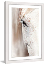 "Gentle Eye" Framed Art Print