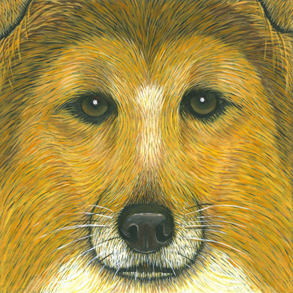"Border Collie" Painting Print on Wrapped Canvas, 40"x40"