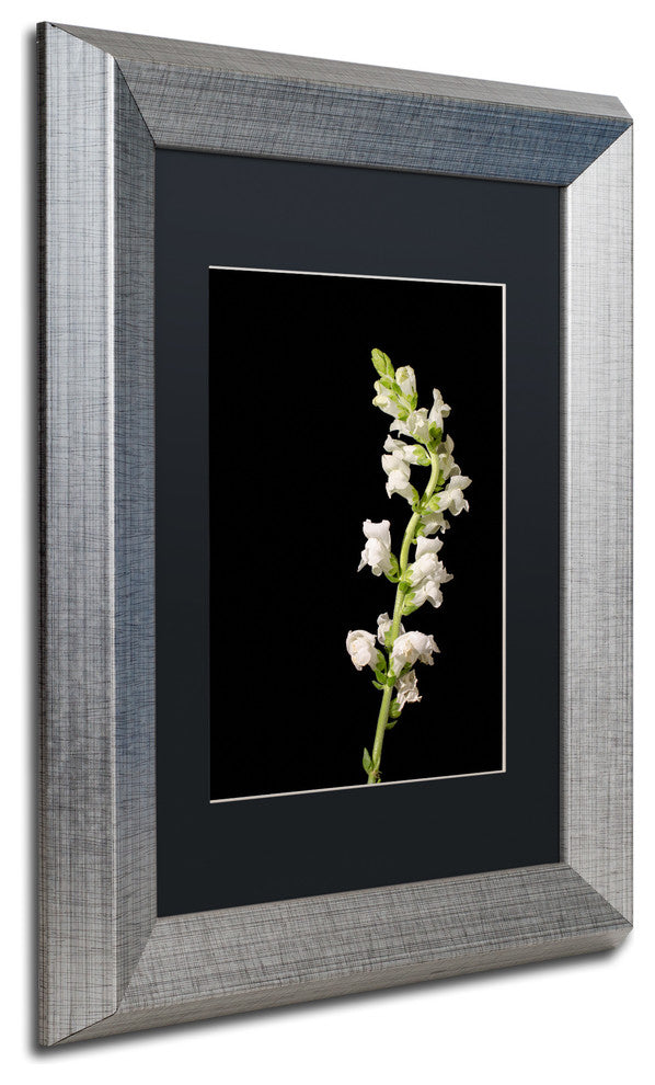 PIPA Fine Art 'White Snapdragons' Matted Framed Art, 14x11